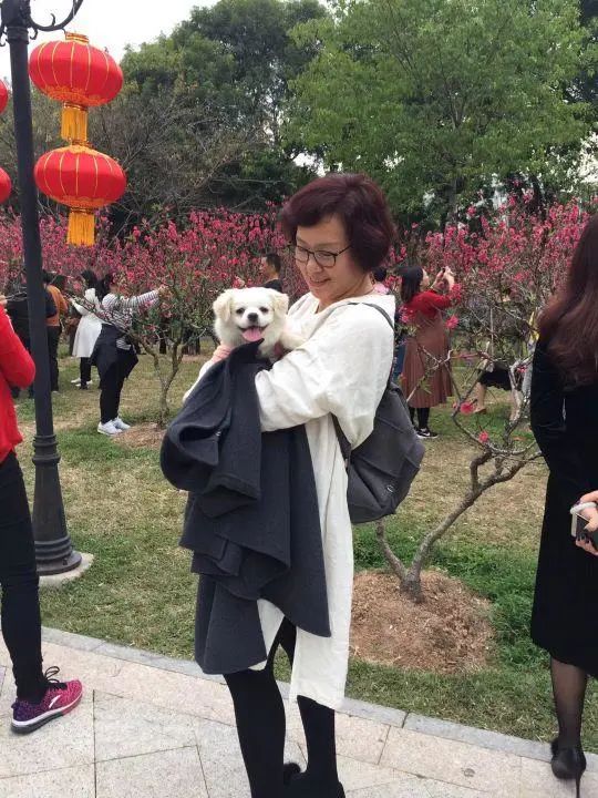 58歲的她，自駕房車旅居，一人兩犬，活成了自己喜歡的樣子