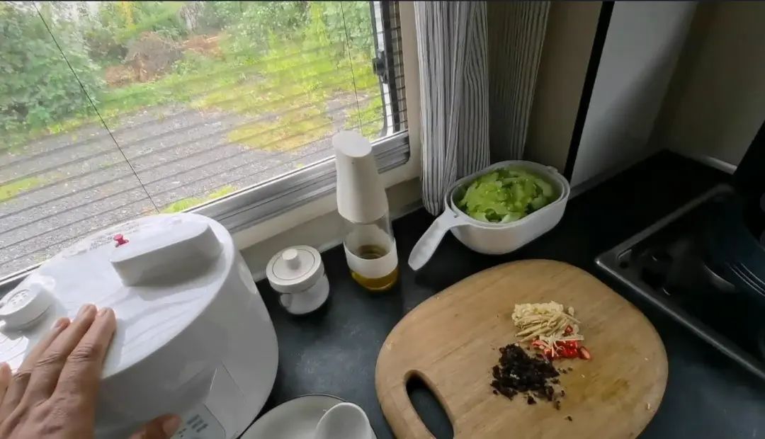58歲的她，自駕房車旅居，一人兩犬，活成了自己喜歡的樣子